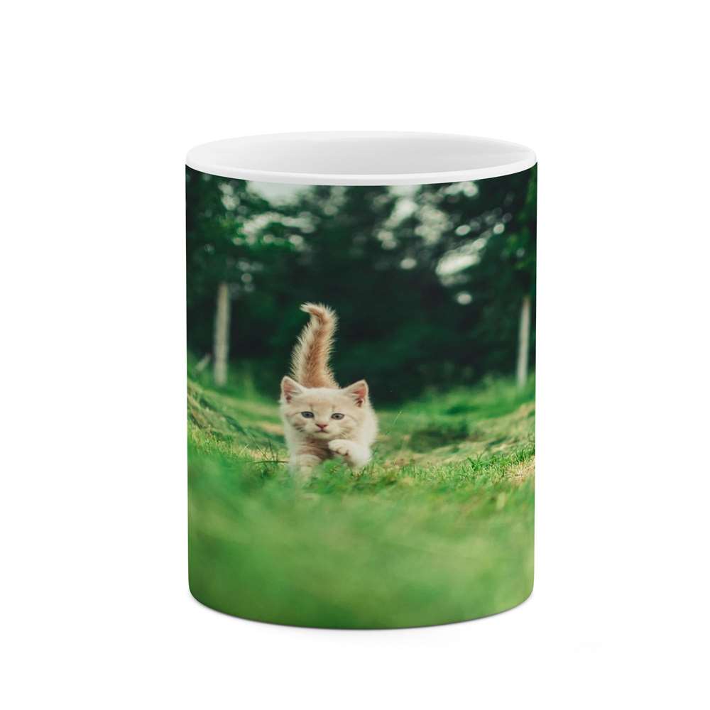 ماگ کاکتی طرح گربه مدل mgs16474