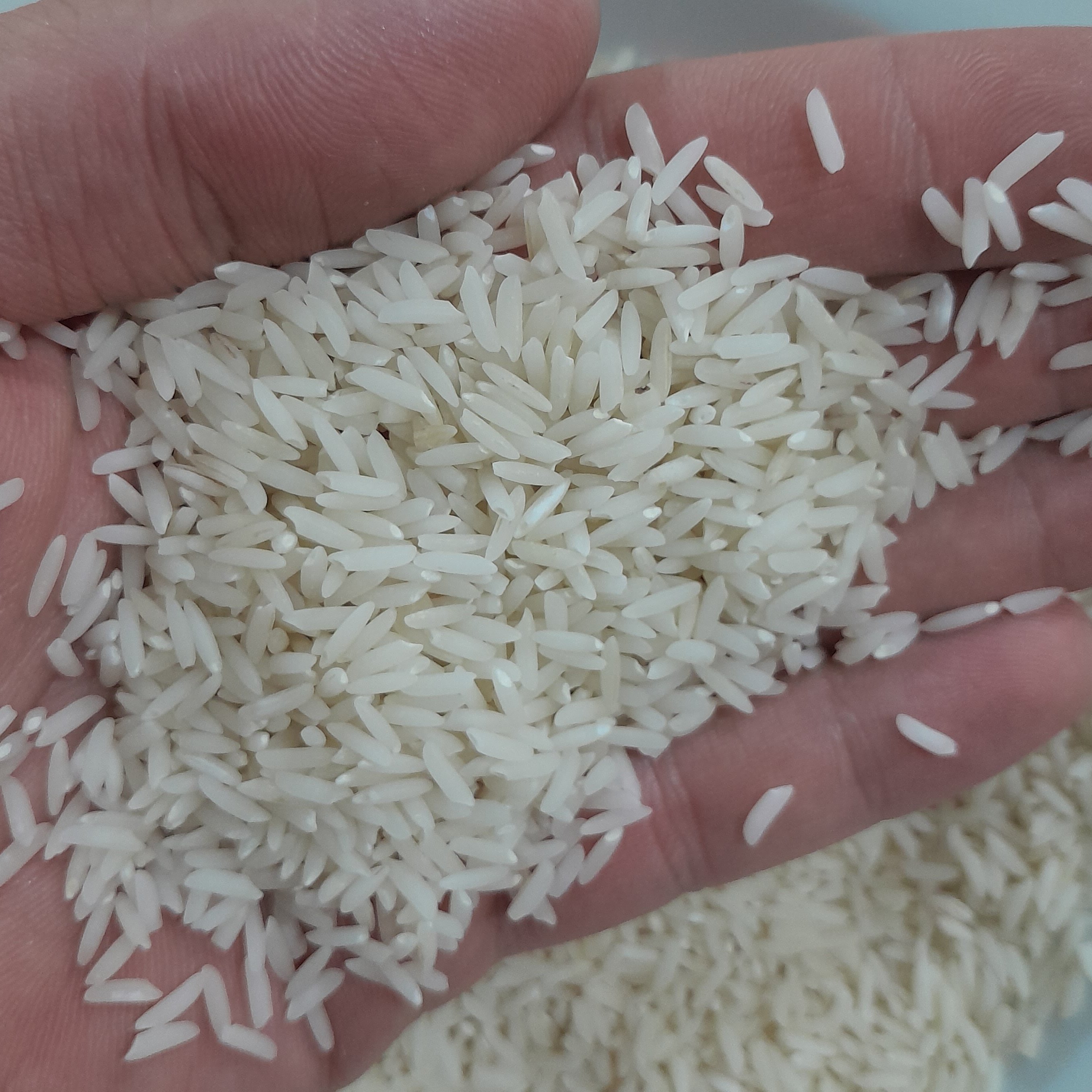برنج هاشمی درجه یک