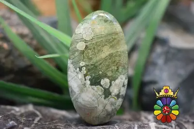 جاسپر جنگل بارانی(ریولیت استرالیا)