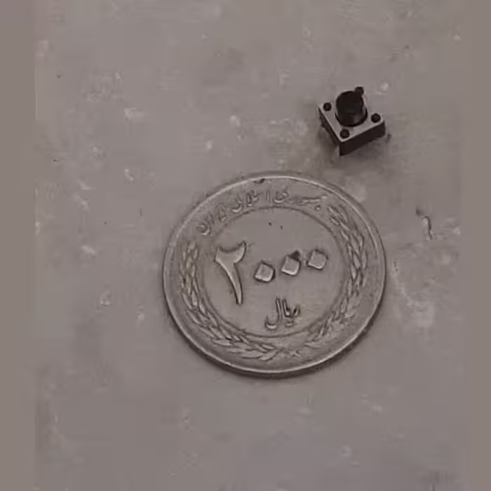 میکرو سوییچ کد 66 بسته 5 عددی