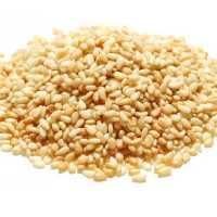 کنجد سفید ممتاز فدک (600گرم)