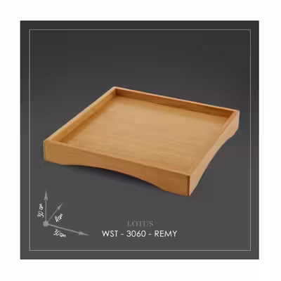 سینی مدل WST-3060-REMY