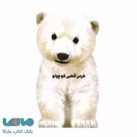 خرس قطبی کوچولو نشر زنبور