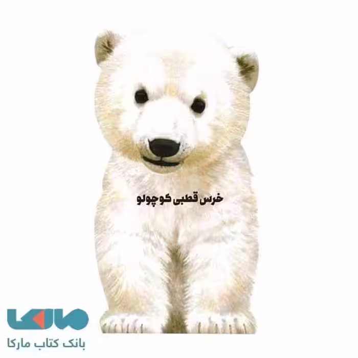 خرس قطبی کوچولو نشر زنبور
