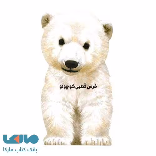 خرس قطبی کوچولو نشر زنبور