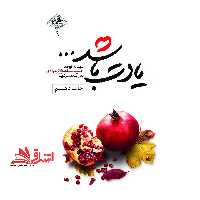 کتاب یادت باشد… - (شهید مدافع حرم حمید سیاهکالی مرادی) - فروشگاه کتاب اشراق