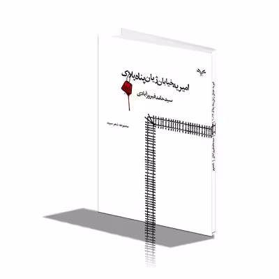 کتاب امیریه خیابان ژیان پناه پلاک 12 1 اثر سید حامد فیروز آبادی انتشارات نامه مهر 