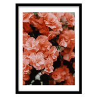 قیمت و خرید تابلو دکوراتیو مدل عکاسی بوته گل کد 0312