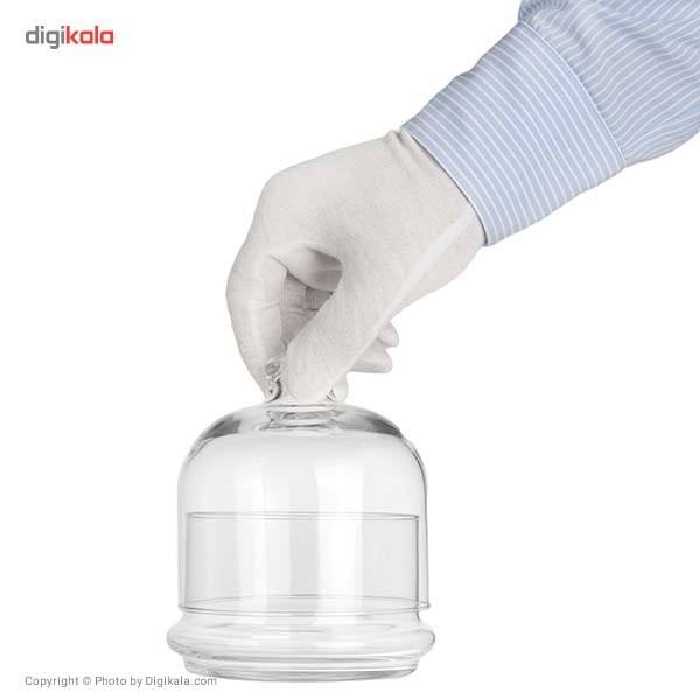 ظرف عسل پاشاباغچه کد 95561 - بسته 2 عددی