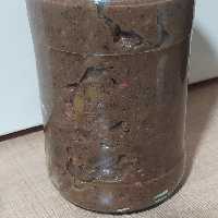 زیتون پرورده اصل گیلان 