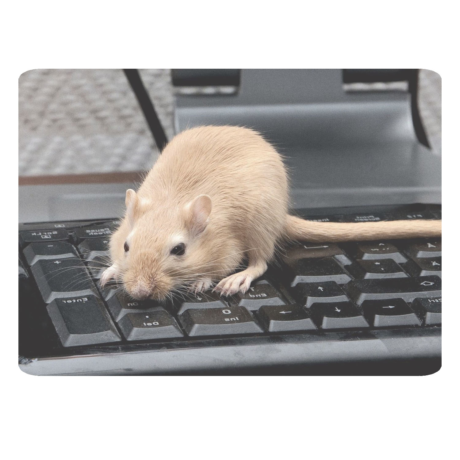 ماوس پد طرح موش کد B11