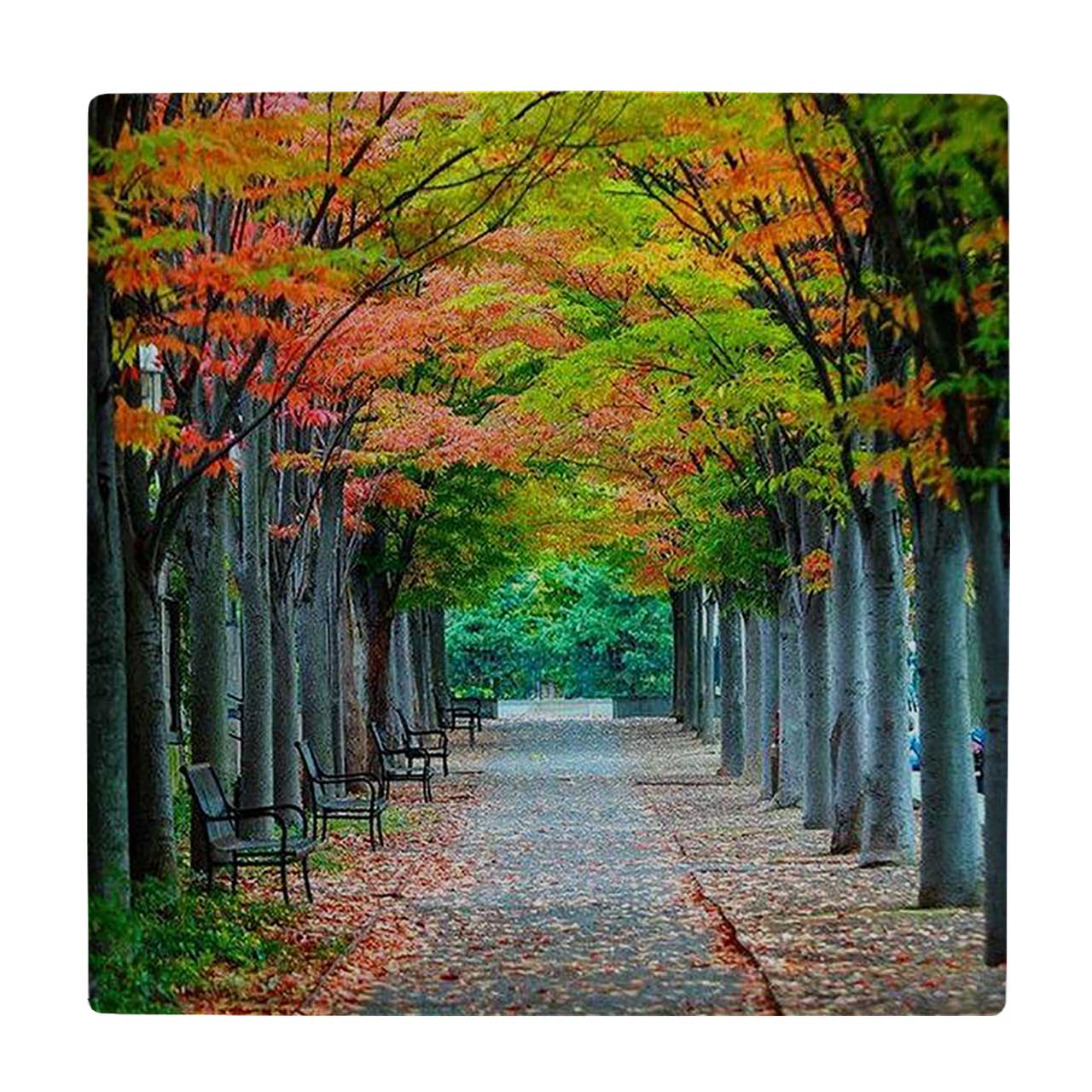  کاشی کارنیلا طرح پارک پاییزی کد wkk3368