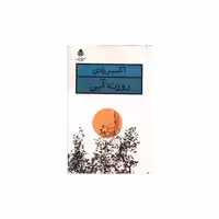 کتاب روزنه آبی اثر اکبر رادی