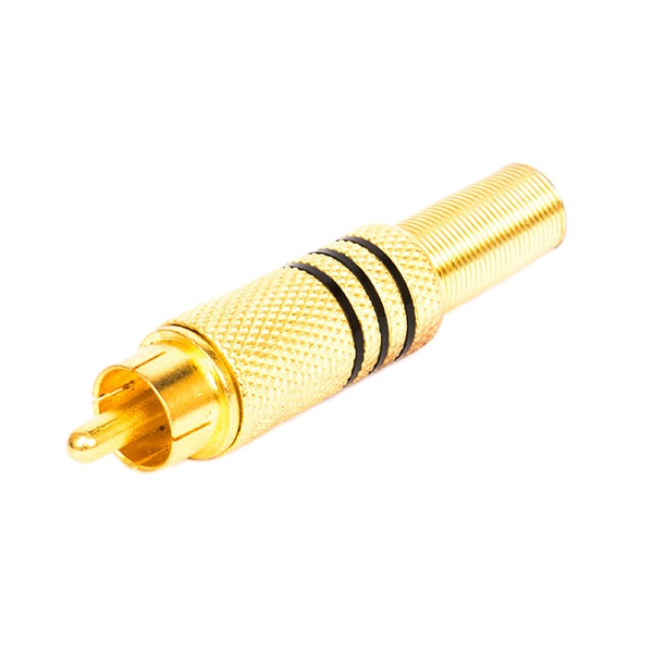 فیش AV کد gold04