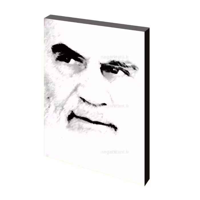 تابلو شاسی پرتره امام خمینی (ره) مدل 2s19