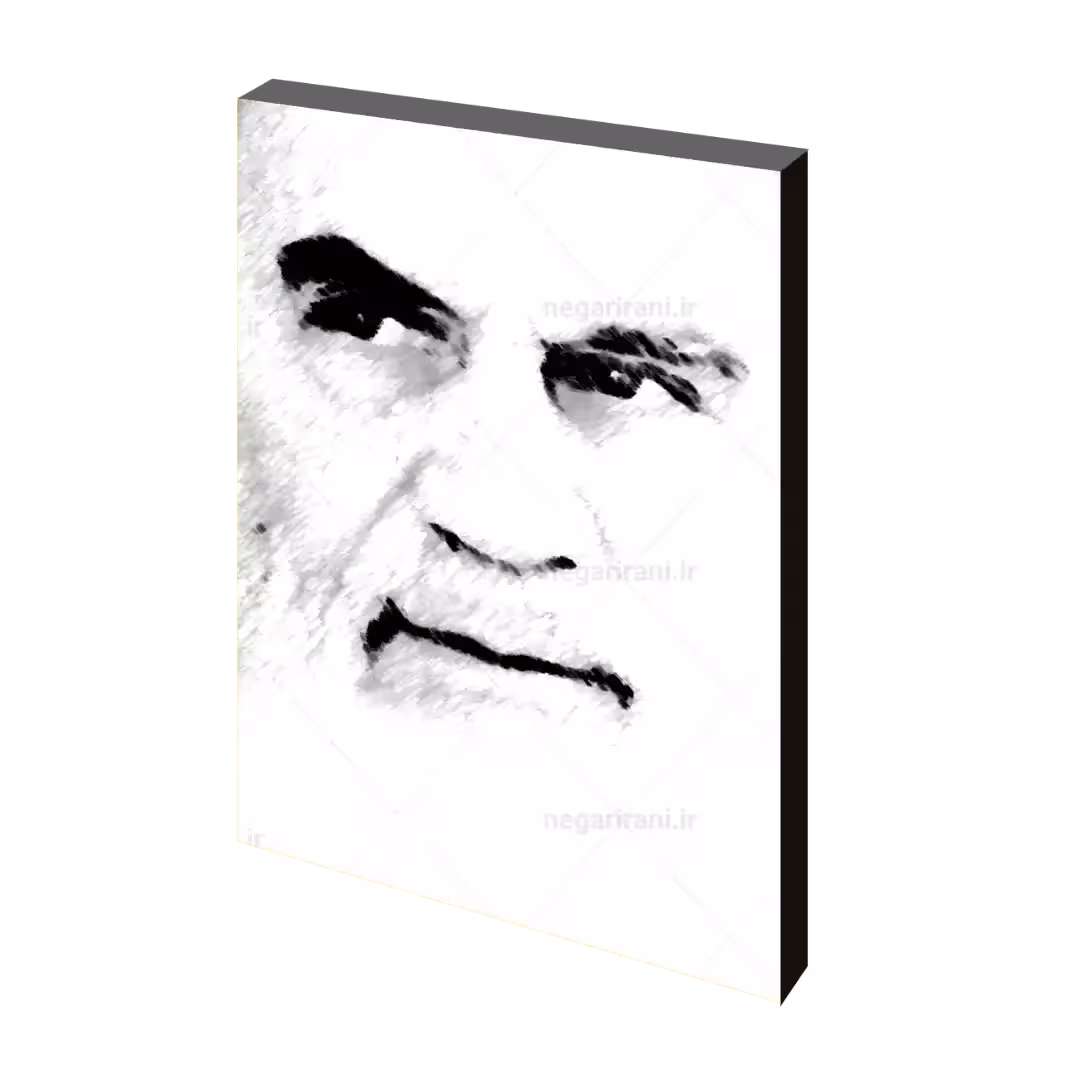 تابلو شاسی پرتره امام خمینی (ره) مدل 2s19