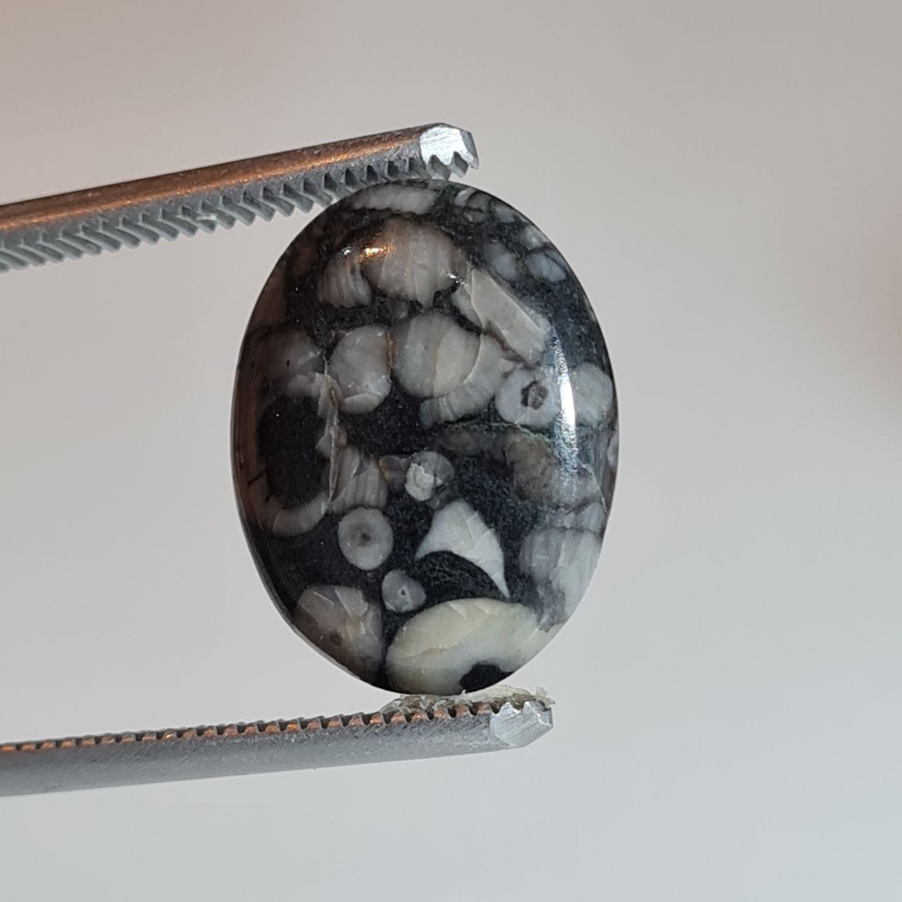 نگین کرونایت فسیل درجه یک 5706