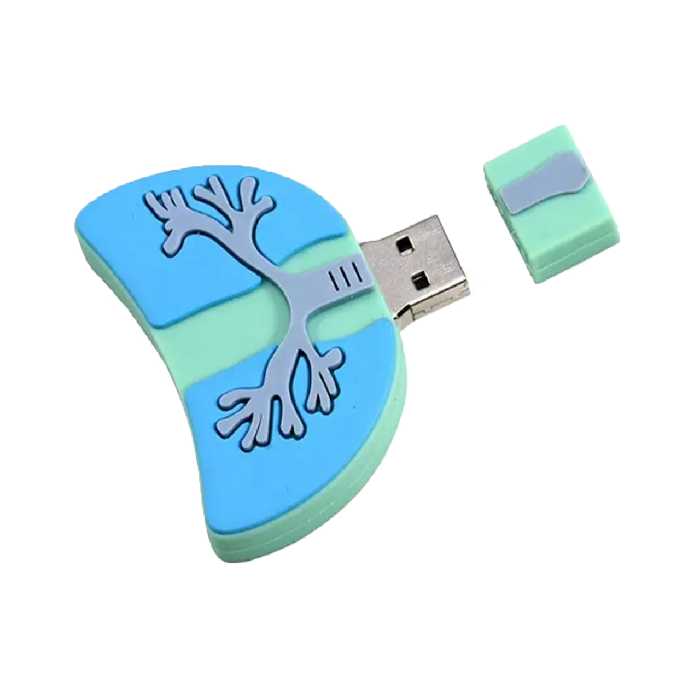 فلش مموری دایا دیتا طرح Lungs مدل PF1101 ظرفیت 128 گیگابایت