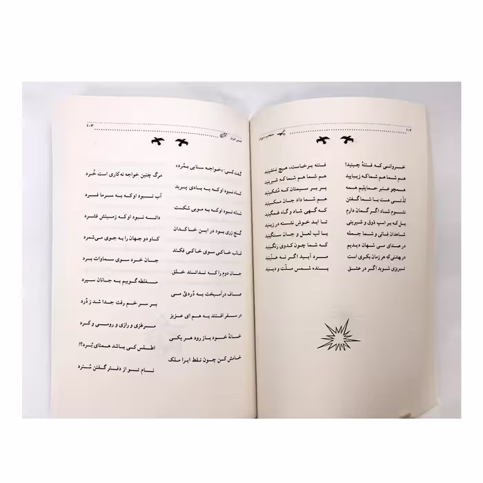 کتاب منتخب دیوان شمس انتشارات نور گیتی