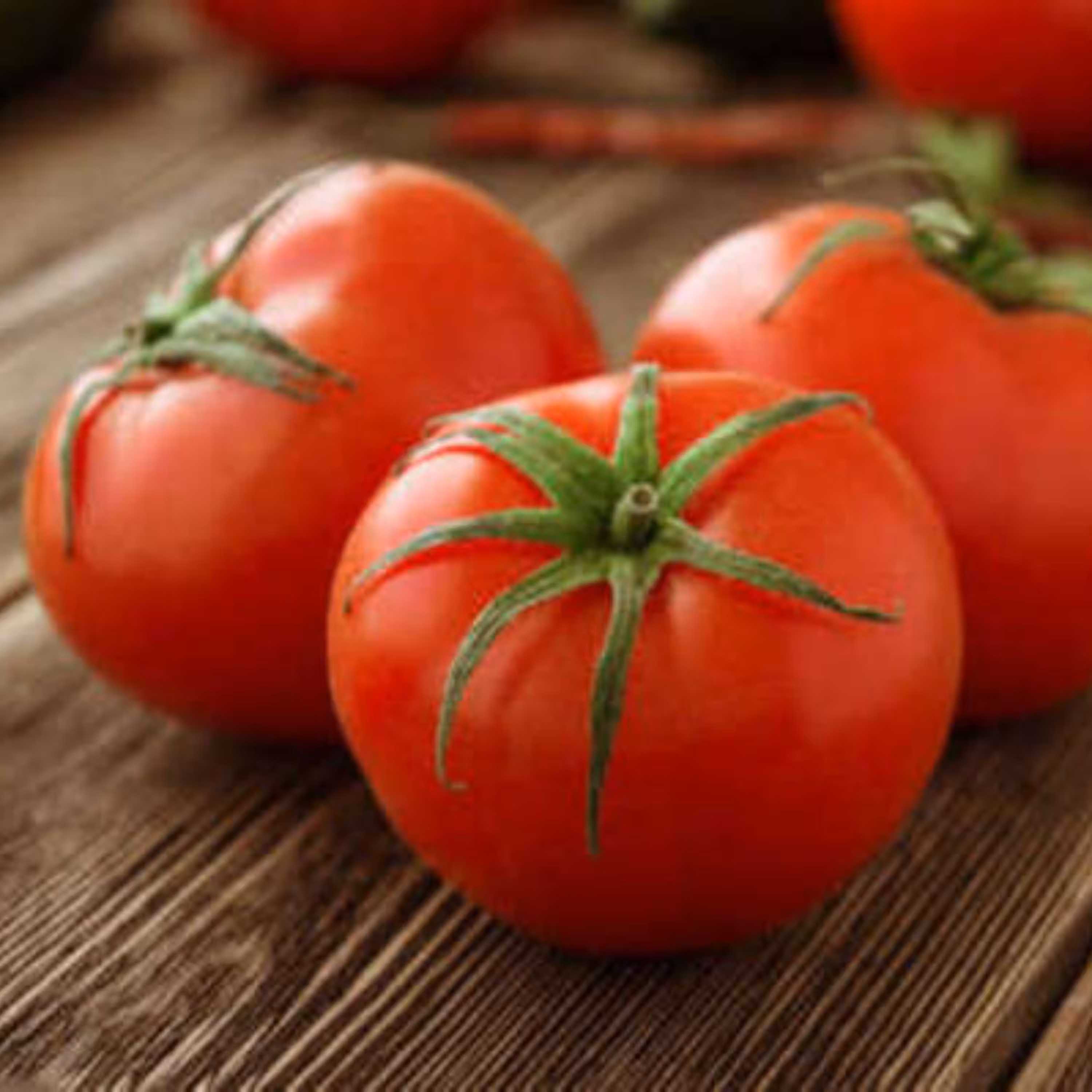 بذر گوجه امین
