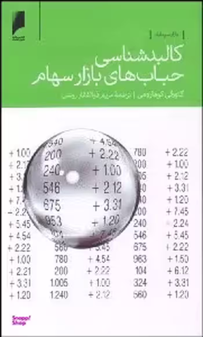 کالبدشناسی حباب های بازار سهام