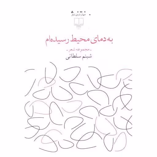 کتاب به دمای محیط رسیده ام اثر شبنم سلطانی