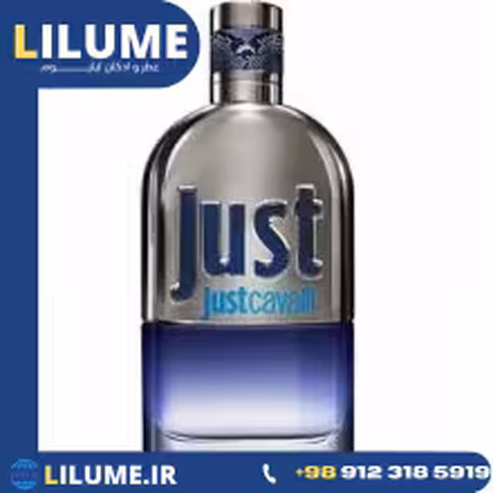 عطر ادکلن روبرتو کاوالی جاست مردانه 90 میل مردانه