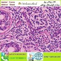 Dermatopathology 2023 video course price 35€ - کتاب پزشکی بهار