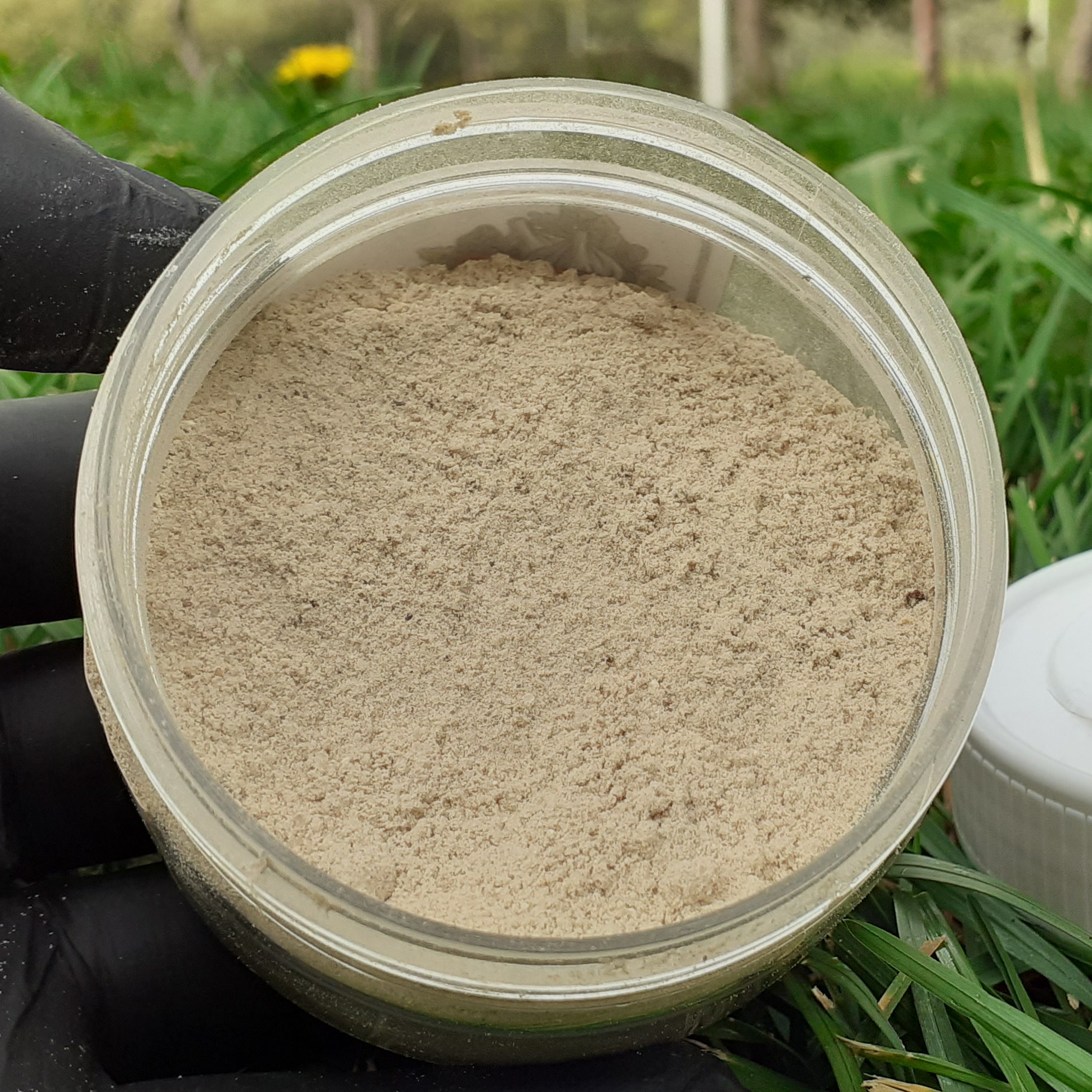 چای ماسالا رژیمی 150 گرمی 