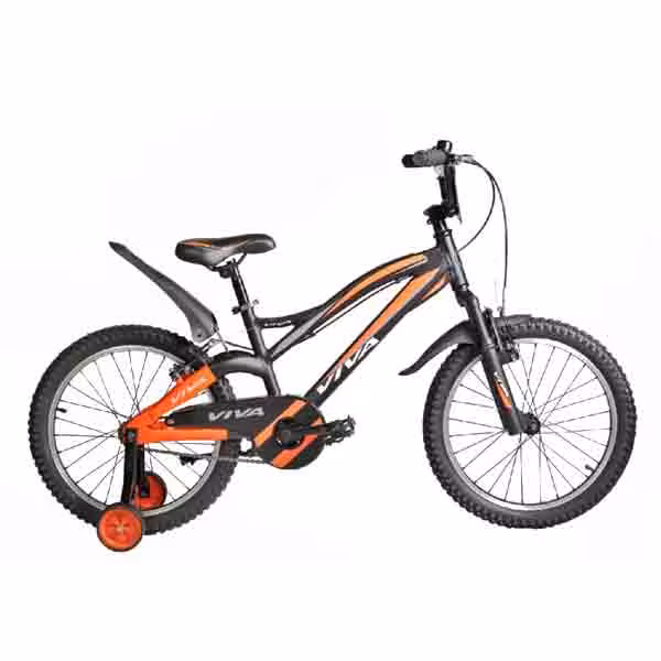 دوچرخه ویوا سایز 20 - مدل VIVA RIDER