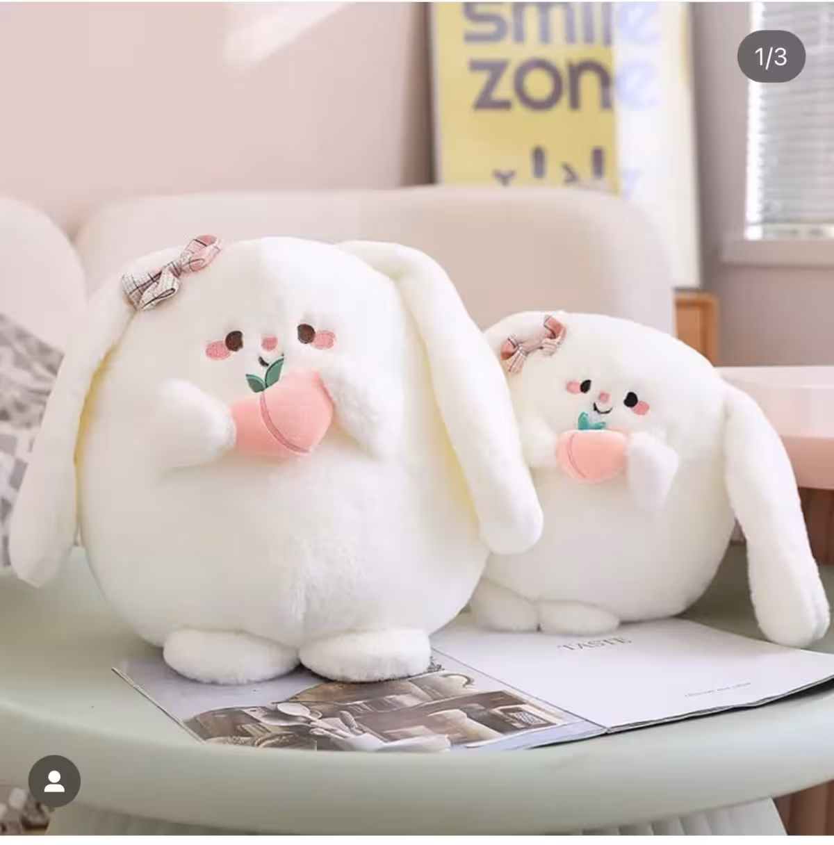 خرگوش هلو به دست