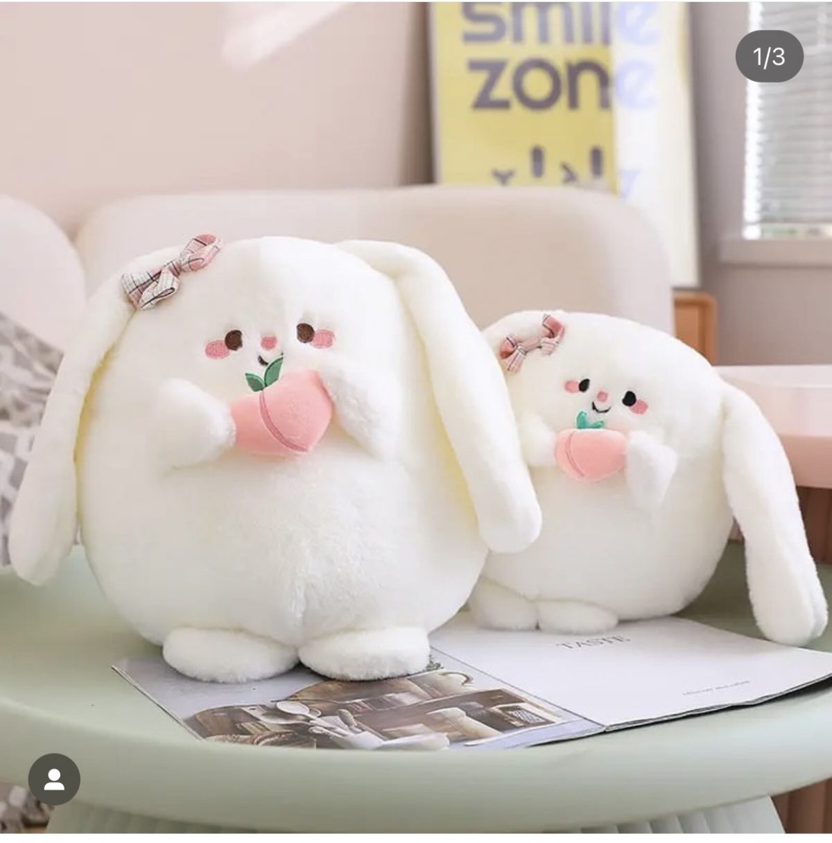 خرگوش هلو به دست