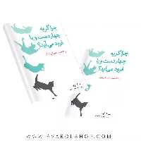 کتاب چرا گربه چهار دست و پا فرود می آید؟ و 76 معمای فیزیکی دیگر فاطمی