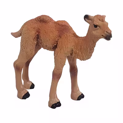 فیگور مدل بچه شتر کد 9000