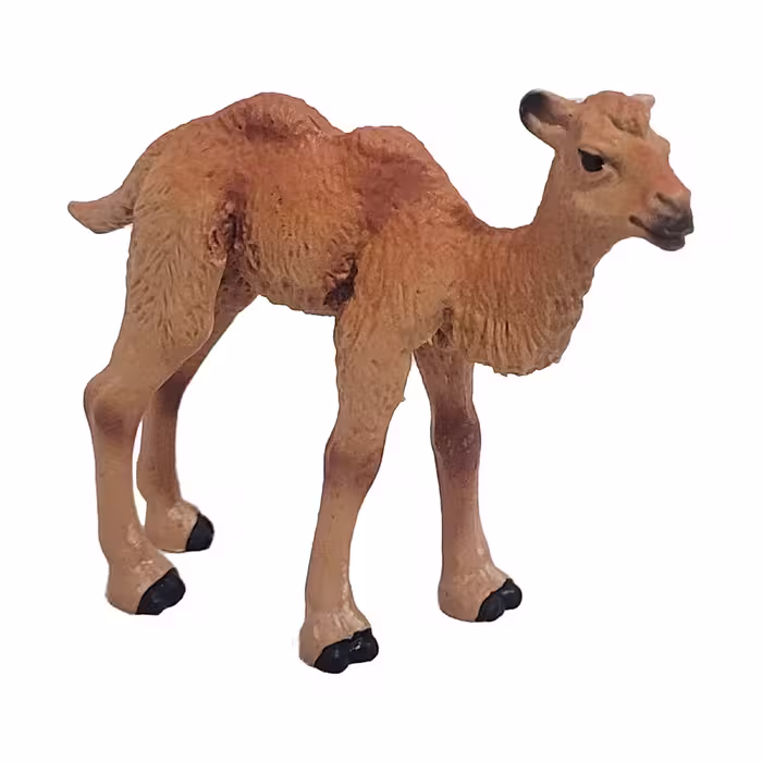 فیگور مدل بچه شتر کد 9000