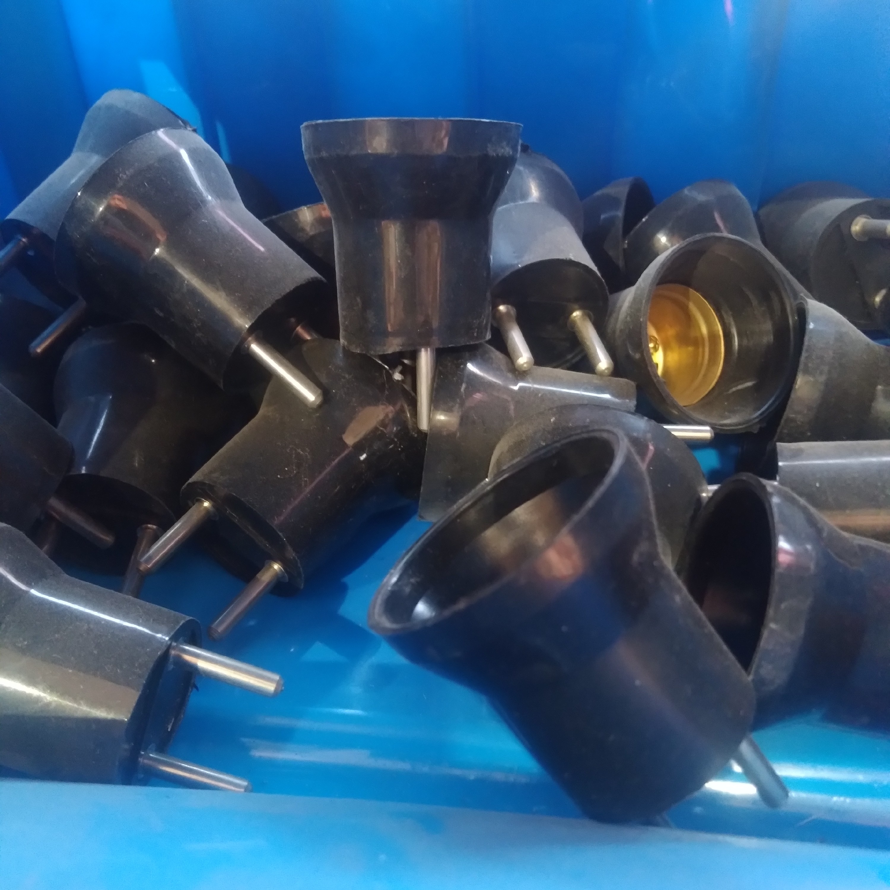 سرپیچ دوشاخه دار 