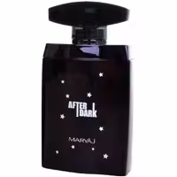 ادو پرفیوم مردانه ماریاژ مدل After Dark حجم 100 میلی لیتر