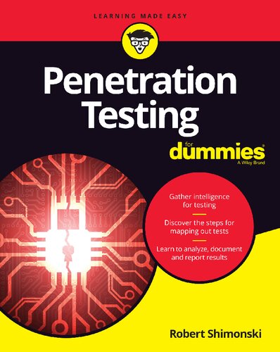خرید و دانلود نسخه کامل کتاب Penetration Testing For Dummies