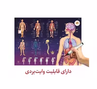 پوستر آموزشی اندیشه کهن طرح آناتومی بدن انسان