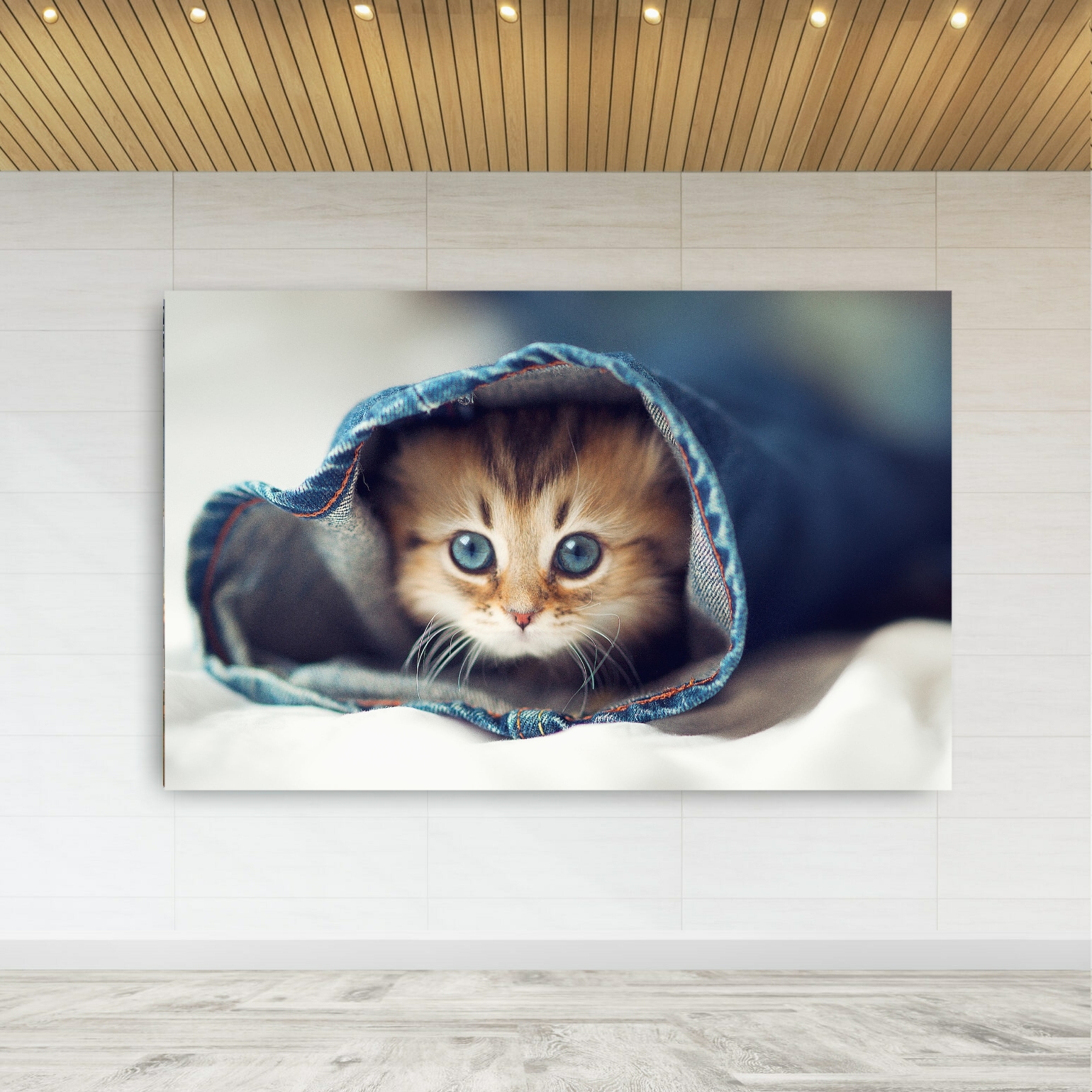 تابلو بوم طرح گربه مخفی مدل SDB541