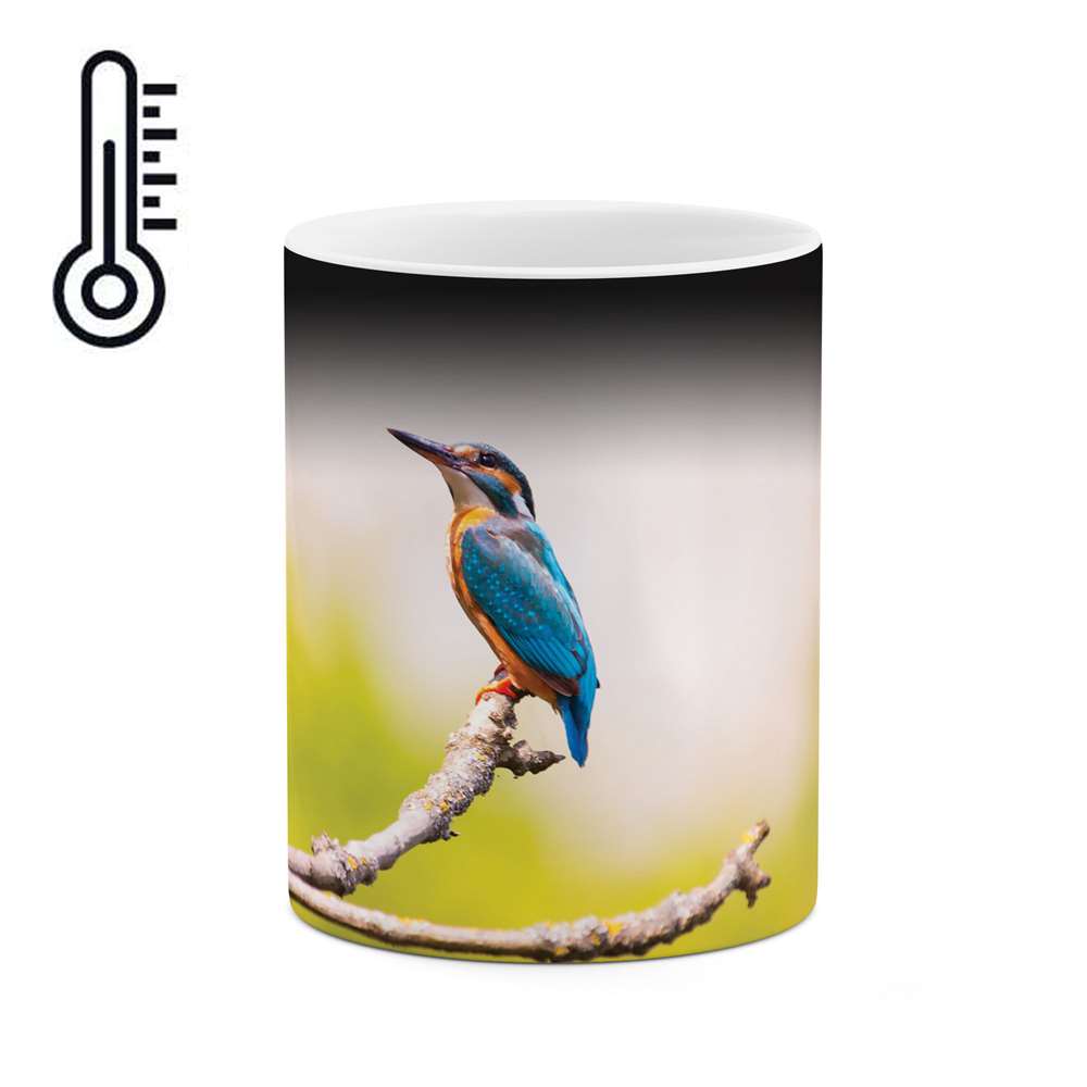 ماگ حرارتی طرح پرنده  مدل mgph10115