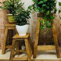 چهارپایه و استند گلدان مجموعه سه تایی