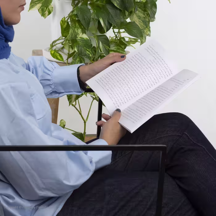 کتاب من و ویس‌ اثر فریده رازی انتشارات نیلا