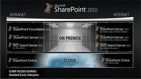 designing and developing share point 2010