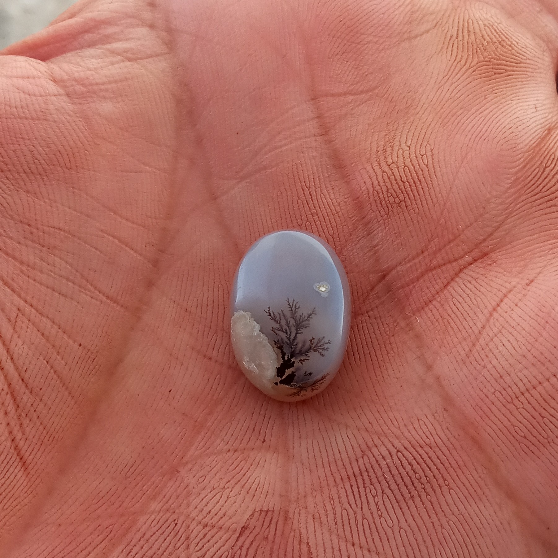 نگین تک درخت 