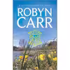 کتاب Blue Skies اثر Robyn Carr انتشارات MIRA