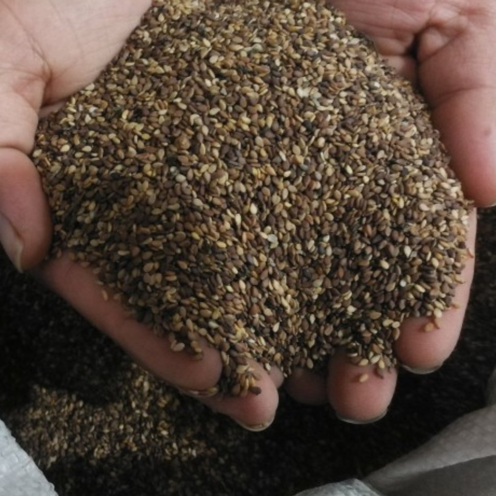 کنجد ممتاز تضمین کیفیت 380 گرم