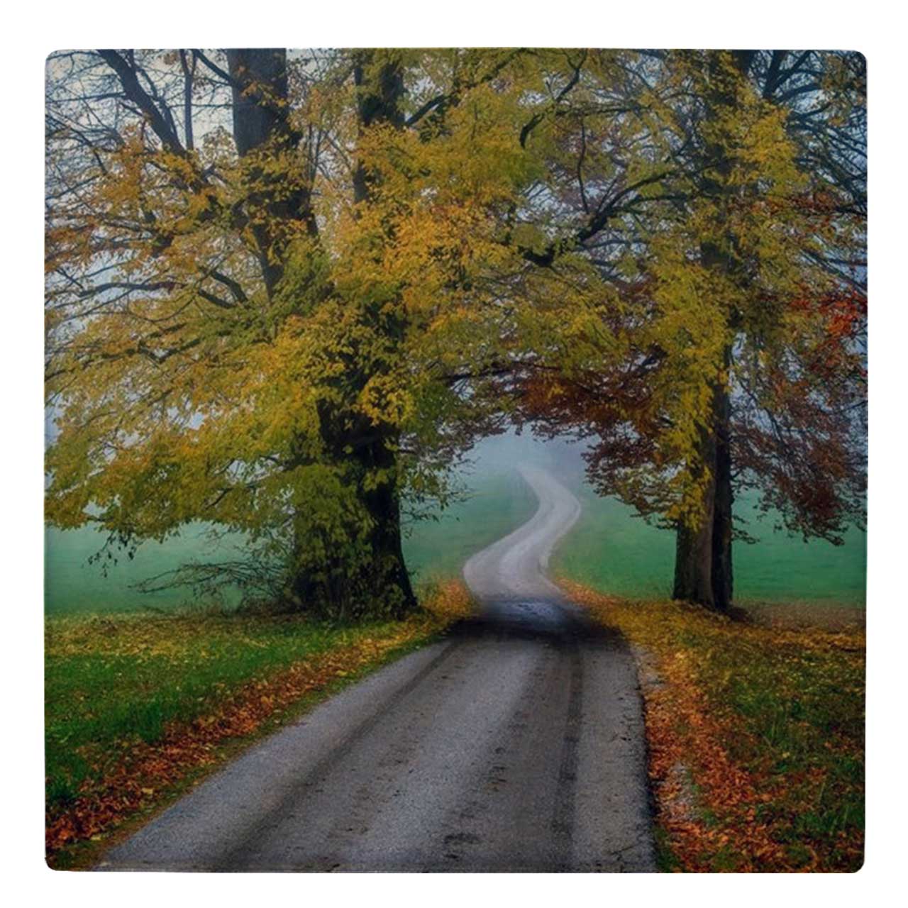  کاشی کارنیلا طرح جاده پاییزی کد wk4945