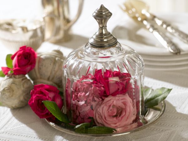 خرید و دانلود عکس IranBCS کد 30115 | پیک فاکس | Pic Fox