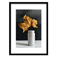 قیمت و خرید تابلو دکوراتیو مدل عکاسی مدرن و مینیمال کد 1834